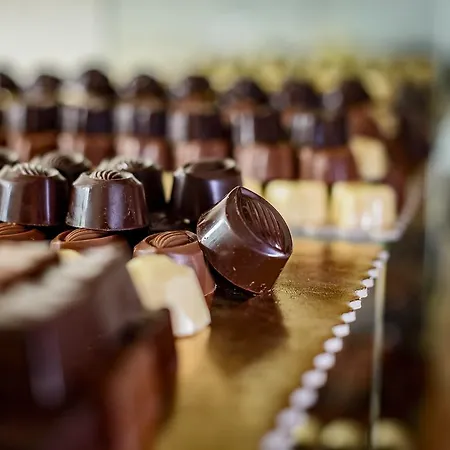 Chocohotel Fikar Hotel